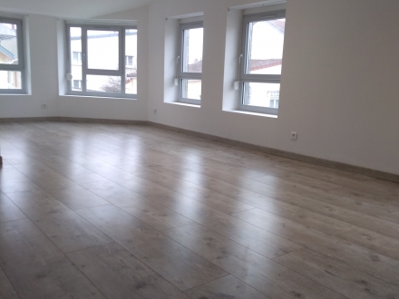 Location Appartement rénové 2 pièces Reims (51100) - proche centre ville